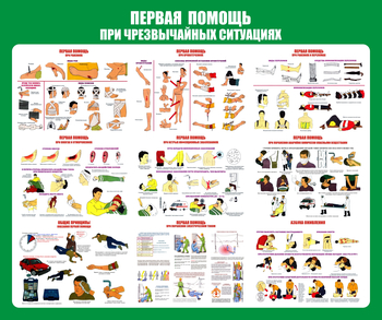 С20-1 Стенд Оказание первой помощи при ЧС (670х800 мм, пластик ПВХ 3 мм, алюминиевый багет золотого цвета) - Стенды - Стенды по первой медицинской помощи - Магазин охраны труда ИЗО Стиль